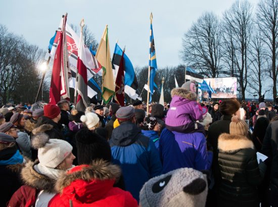 Eesti Vabariigi 99. aastapäeva tähistamine